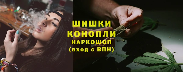 гашик Аркадак