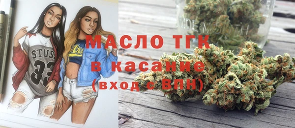 гашик Аркадак