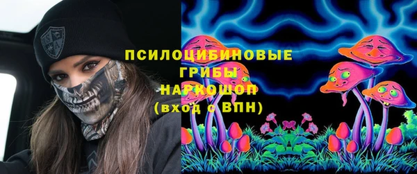 гашик Аркадак
